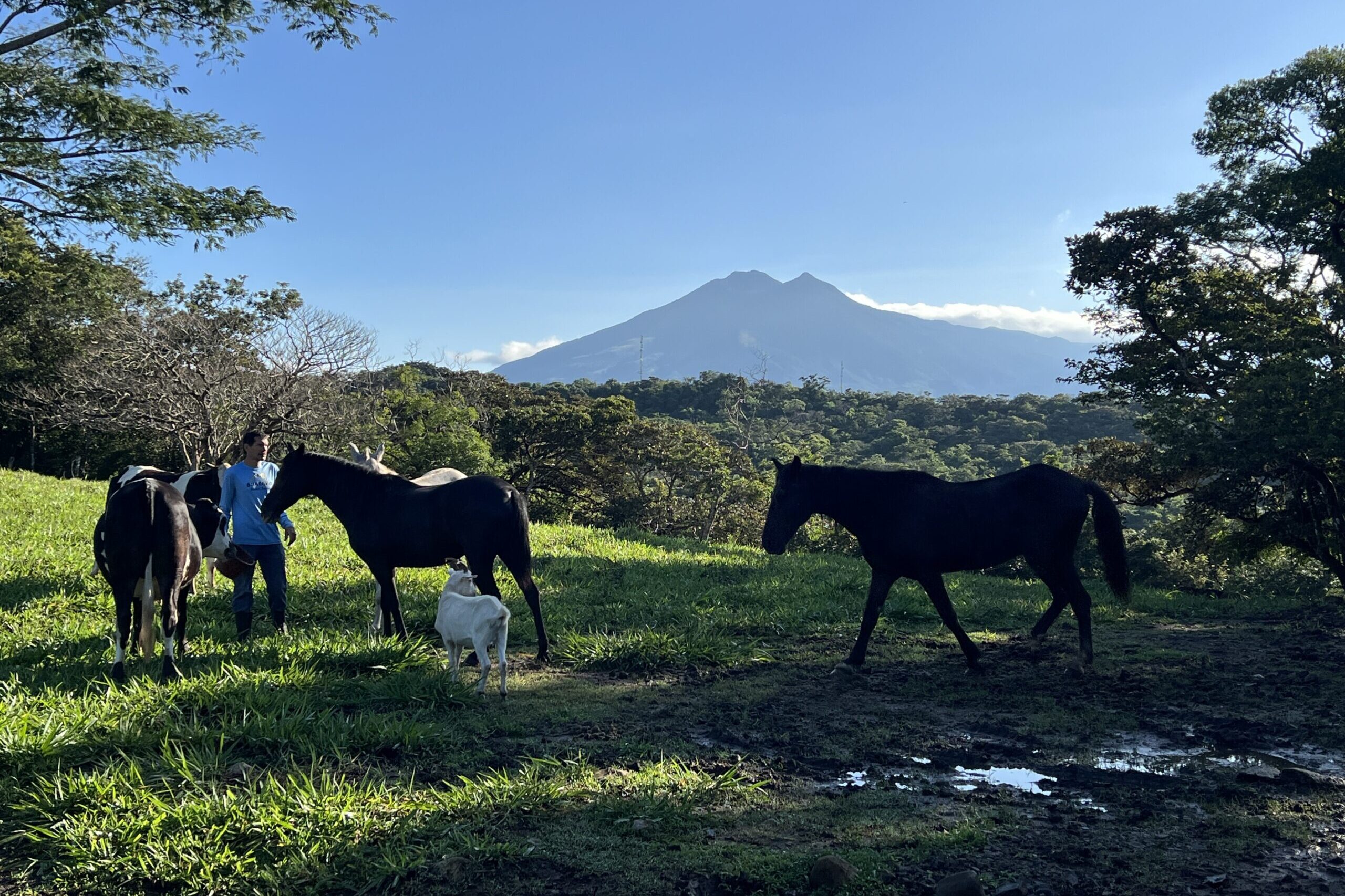 Plesae Consider Giving