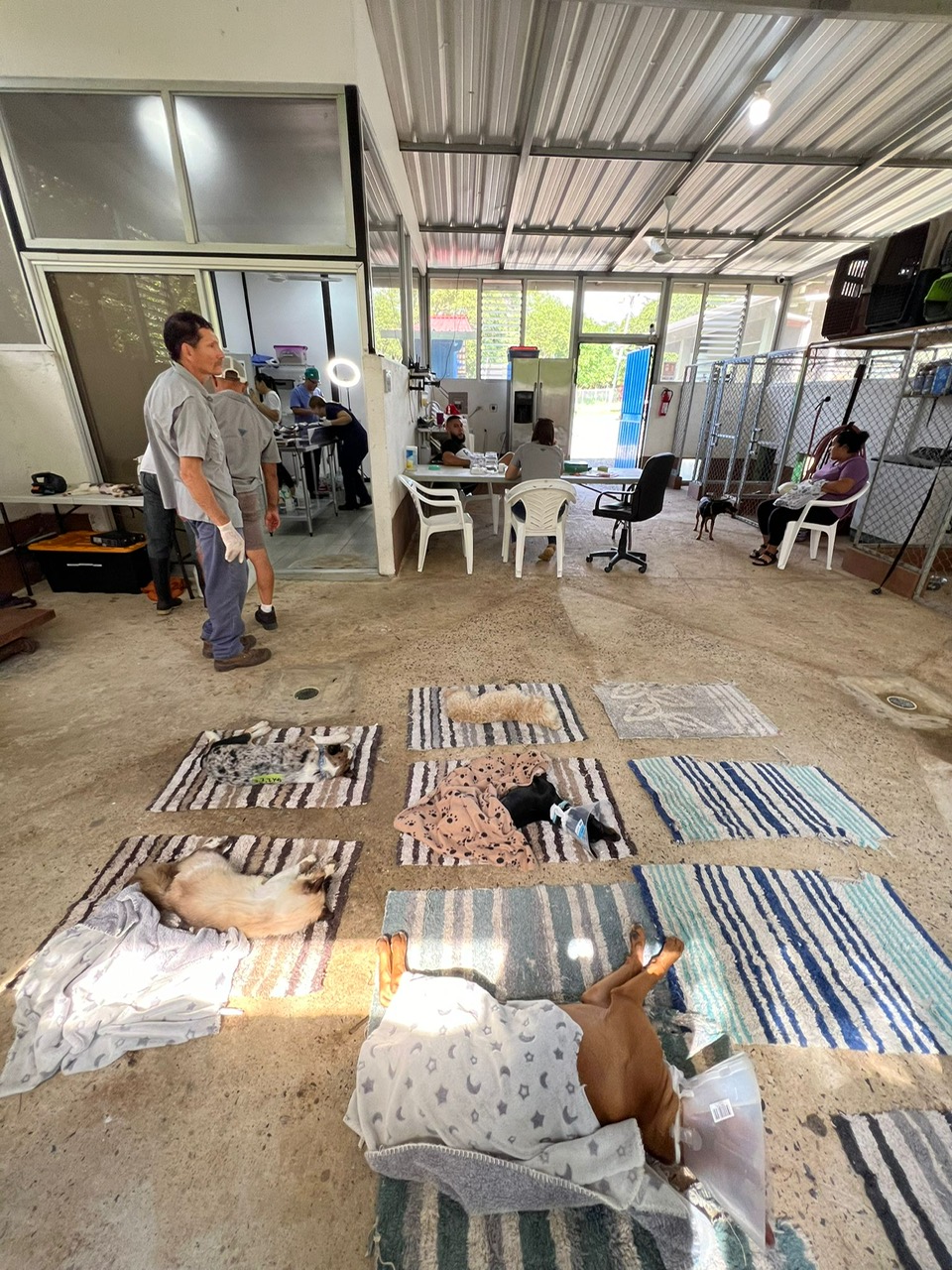 3e9342e6-5c45-44e3-a0c8-d2e996309d32