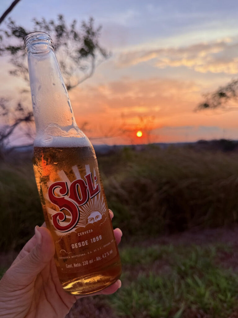 sol guayabo
